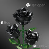 Black Rose Building Bouquet Set