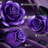 Violet Rose Building Bouquet Set