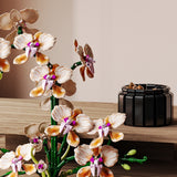 Champagne Orchid Bonsai Building Block Set
