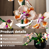 Champagne Orchid Bonsai Building Block Set