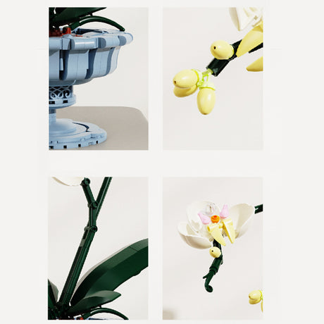 Phalaenopsis Orchid Building Block Set