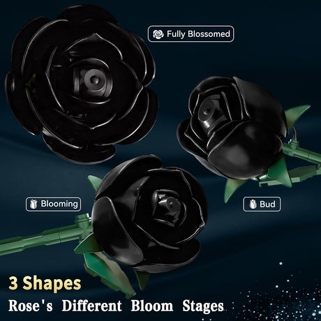Black Rose Building Bouquet Set