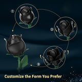 Black Rose Building Bouquet Set