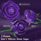 Purple Rose Building Bouquet Set